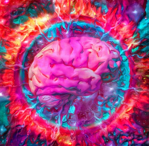 Vivid Brain by Bruce Rolff